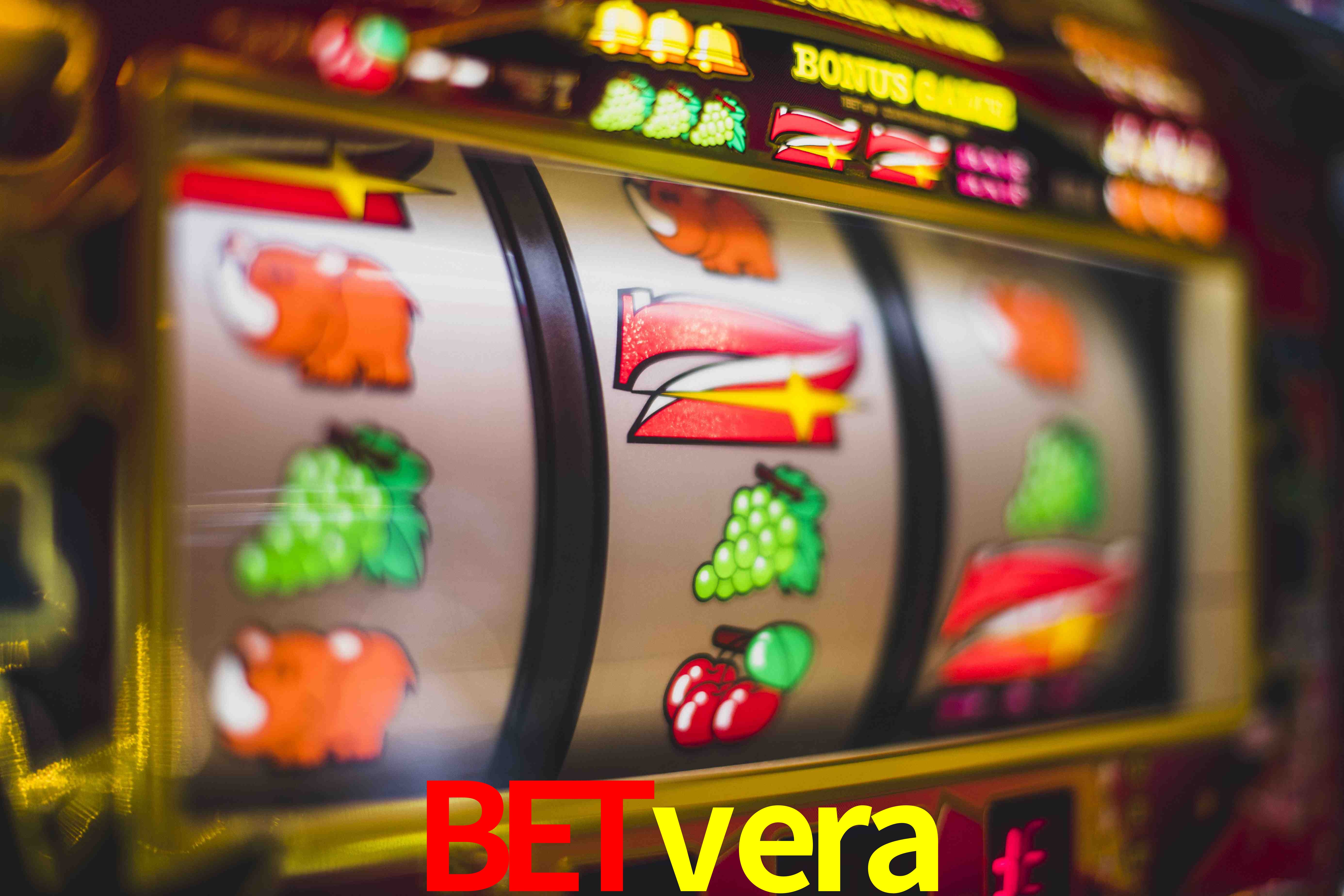 Basketball Betting betvera